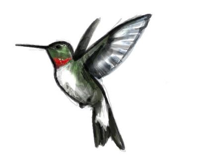 Free Hummingbird Image Tattoo